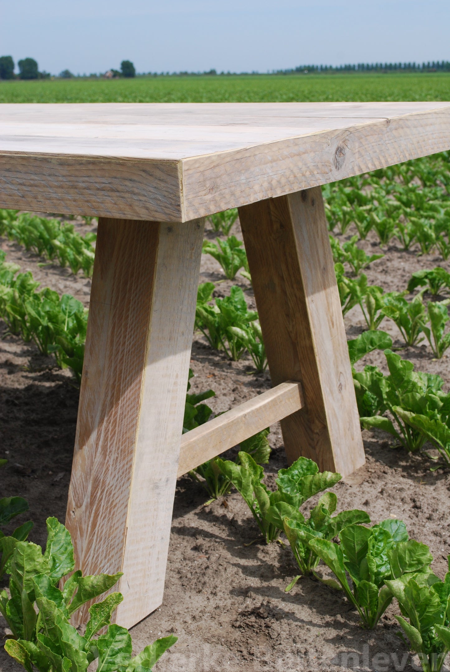Detail poot tafel Sanne